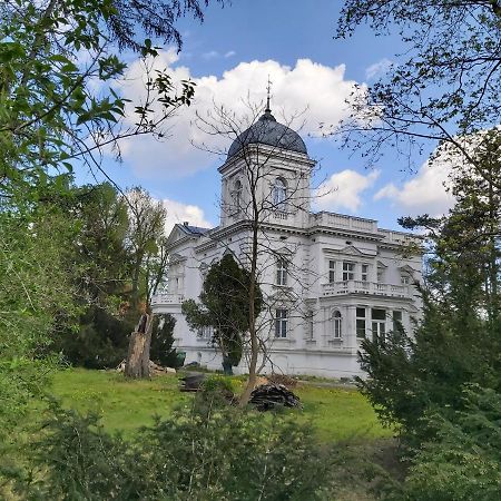 Bed and Breakfast Stara Biblioteka Вроцлав Екстер'єр фото